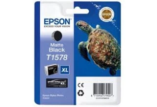 Картридж Epson C13T15784010 R3000 матовый черный